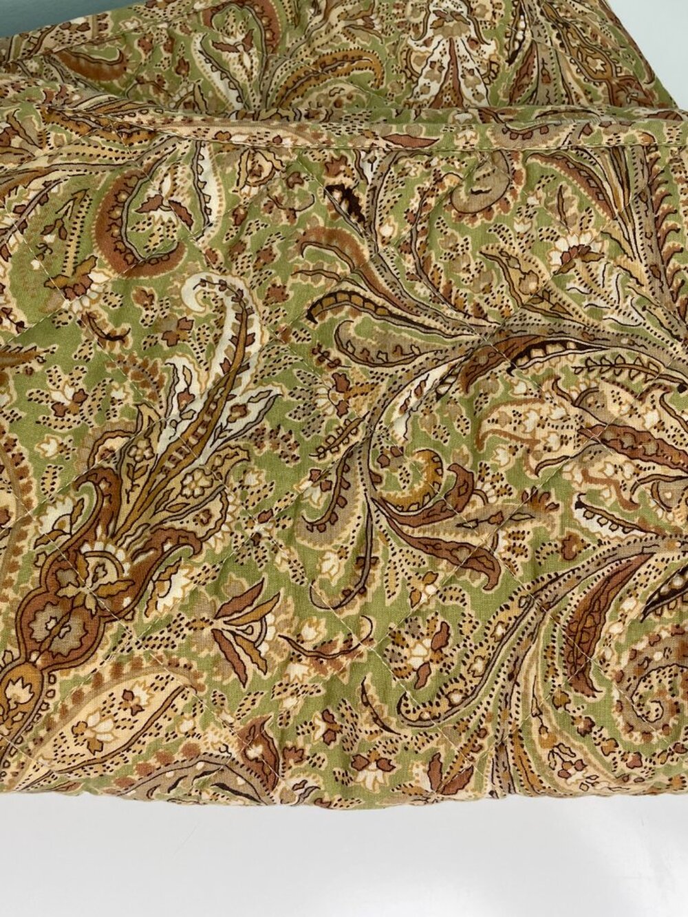 Ralph Lauren Paisley set of 2 King Shams Green/Brown